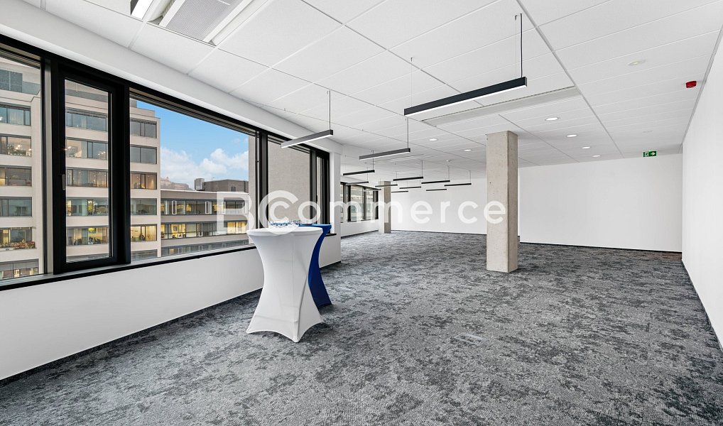Pronájem kanceláře 310 m², Brno – náhled fotky 6