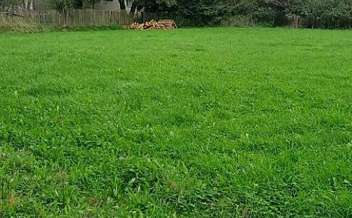 Prodej stavebního pozemku 2 640 m², Králova Lhota, okres Písek