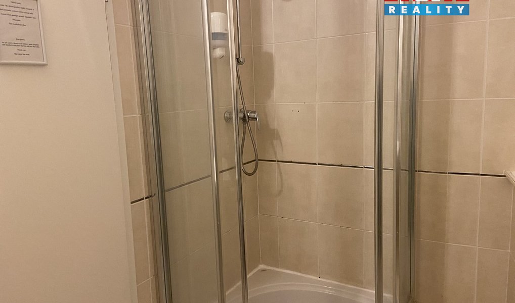 Pronájem bytu 4+kk 110 m², Plzeň – náhled fotky 12