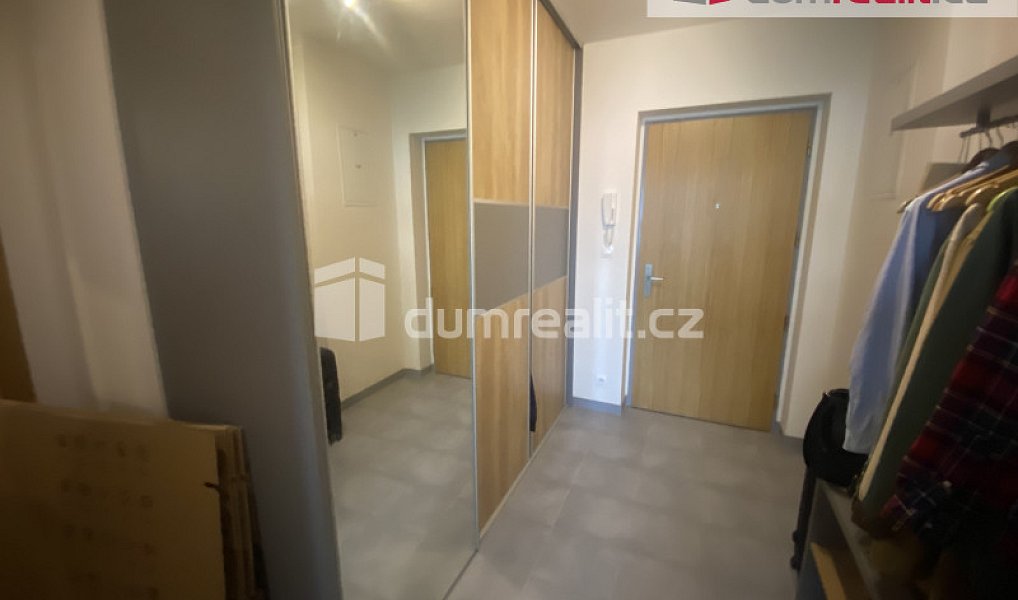 Pronájem bytu 1+kk 43 m², Praha – náhled fotky 8