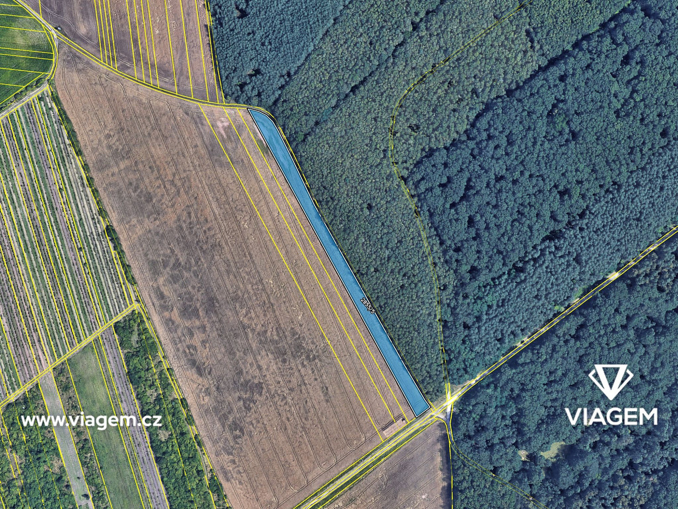 Prodej pole 354 m² – fotografie 4