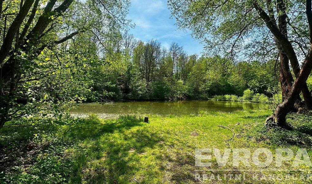 Prodej domu 350 m² s pozemkem 5 913 m², Dubá – náhled fotky 25