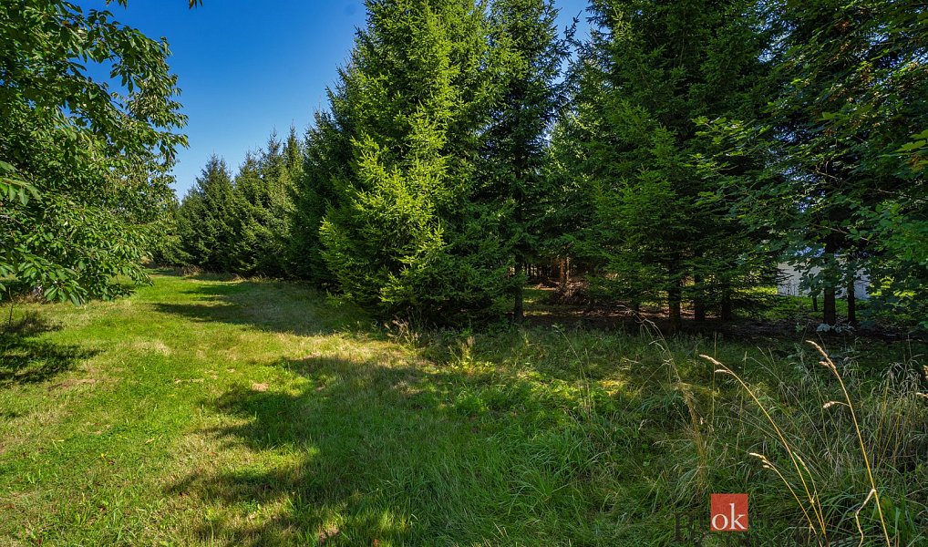 Prodej stavebního pozemku 12 049 m², Varnsdorf – náhled fotky 4