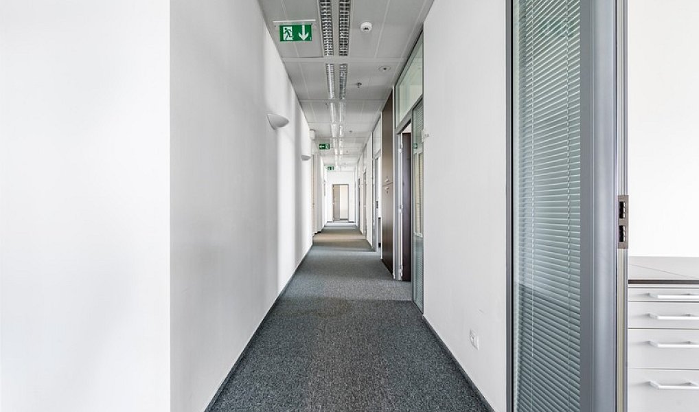 Pronájem kanceláře 280 m², Praha – náhled fotky 12