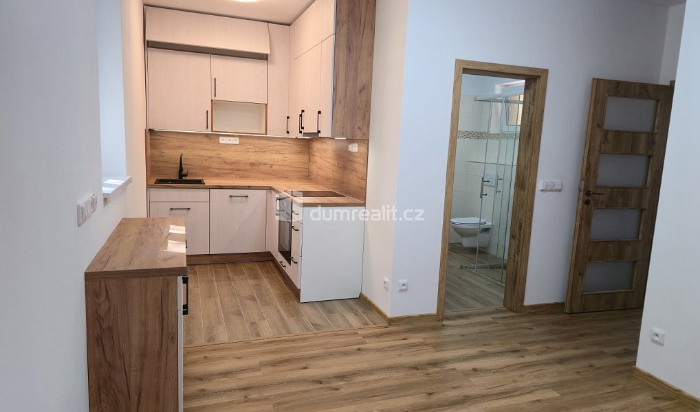 Pronájem bytu 4+kk 75 m², Straky – náhled fotky 3