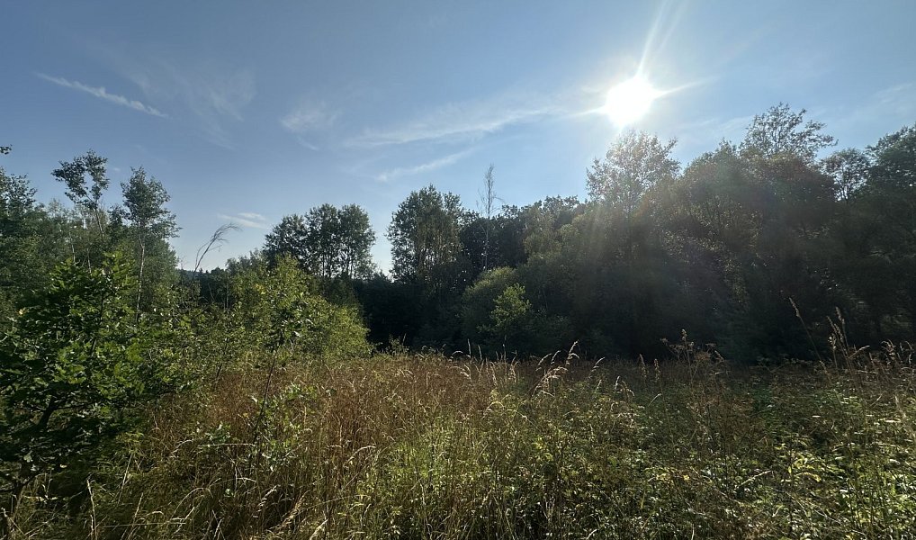 Prodej pozemku 3 546 m², Kaplice – náhled fotky 2