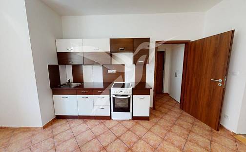 Pronájem bytu 1+1 51 m², Křimická, Plzeň - Skvrňany