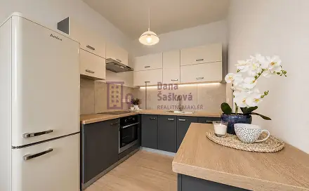 Pronájem bytu 1+1 37 m²