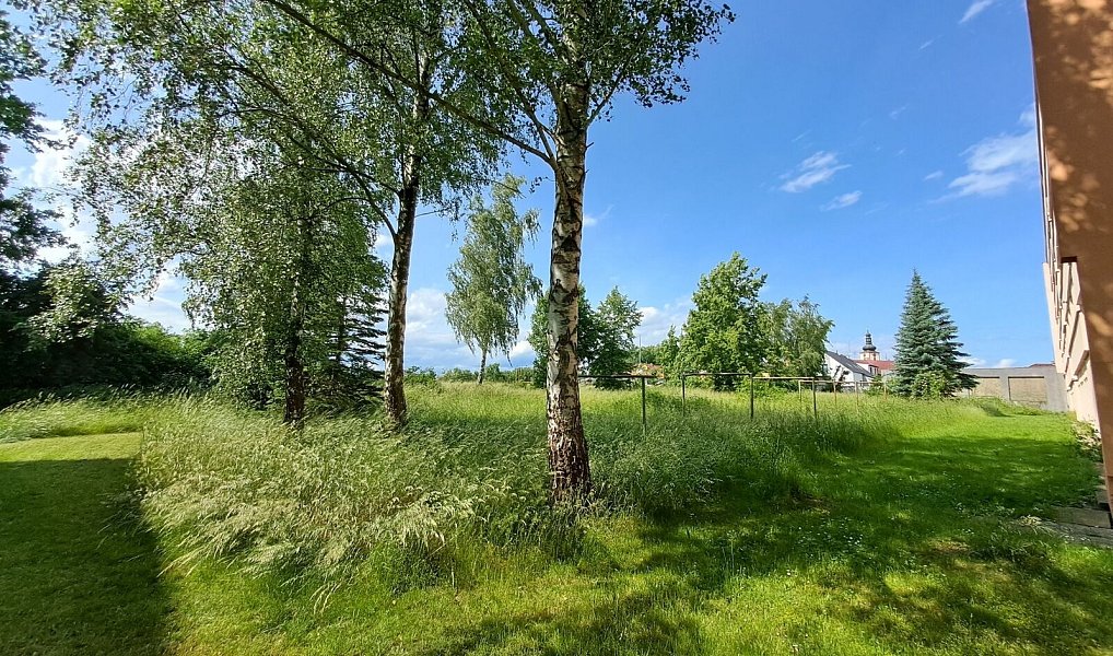 Prodej komerčního pozemku 2 803 m², Veselí nad Lužnicí – náhled fotky 7