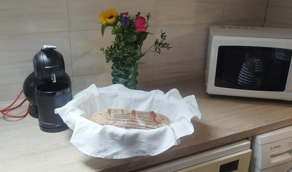 Prodej komerčního objektu (jiného typu) 190 m², Šluknov – náhled fotky 14