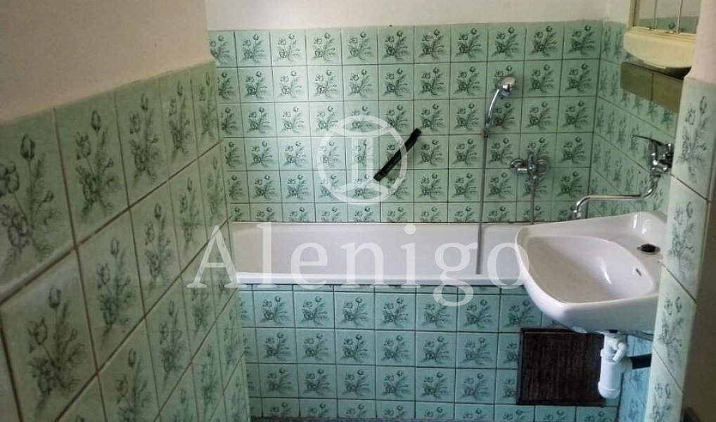 Prodej domu 285 m² s pozemkem 484 m², Nový Knín – náhled fotky 21