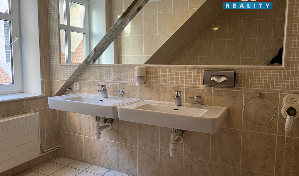 Pronájem bytu 4+kk 110 m², Plzeň – náhled fotky 21
