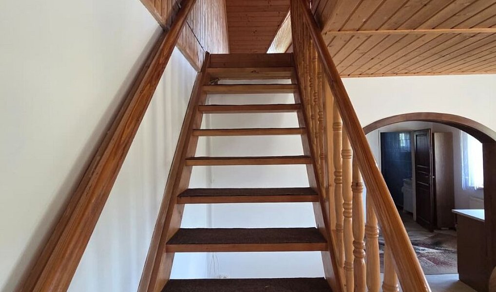 Prodej domu 250 m² s pozemkem 738 m², Děpoltovice – náhled fotky 7