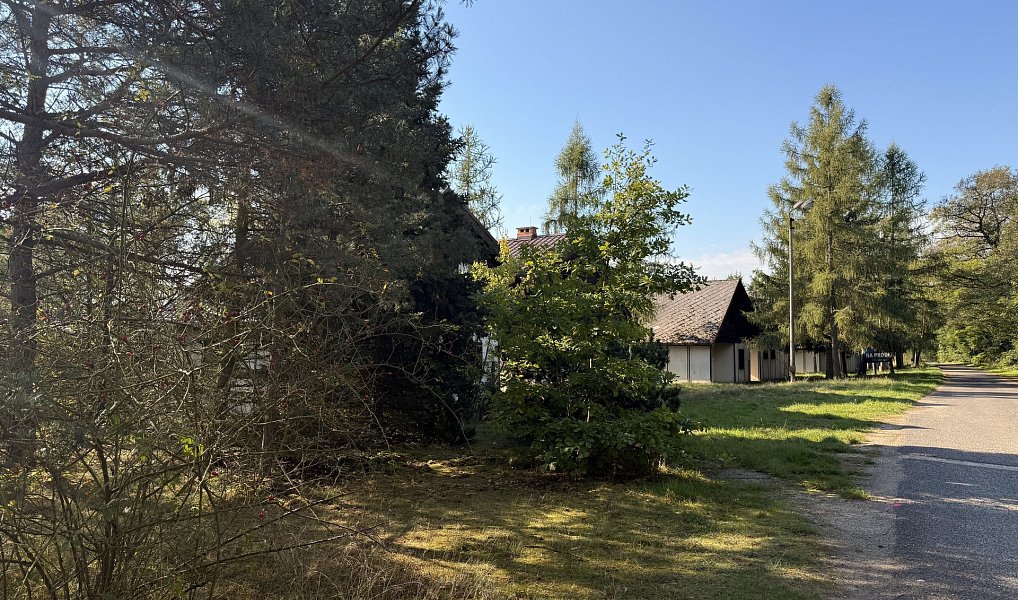 Prodej chaty/chalupy 180 m² s pozemkem 1 287 m², Račice – náhled fotky 17
