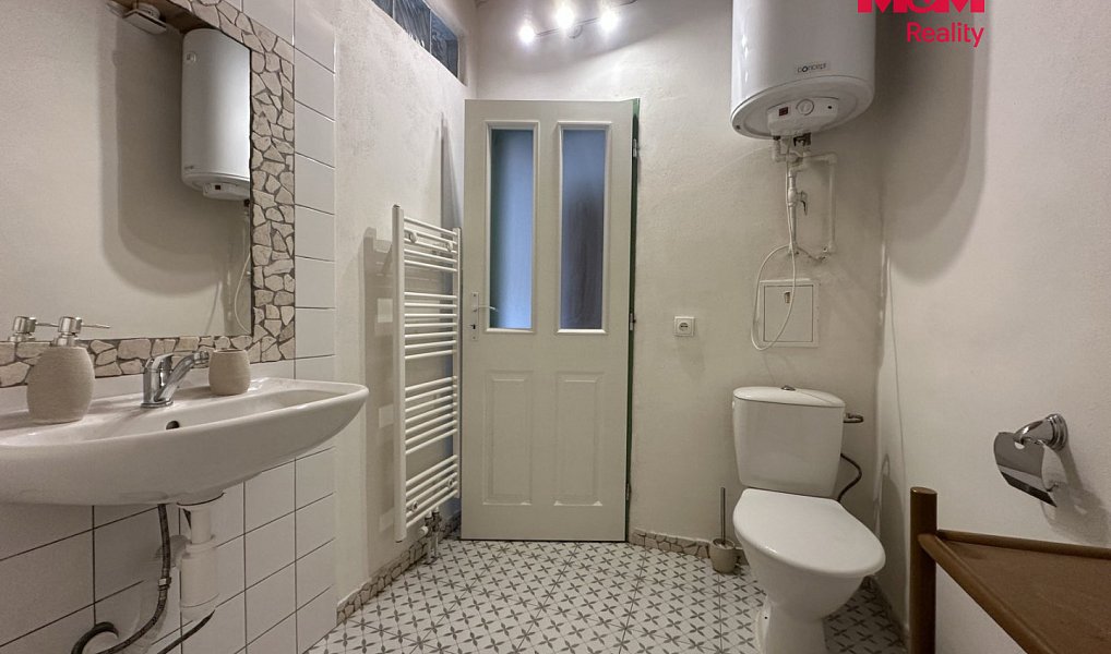 Pronájem bytu 1+kk 28 m², Černiv – náhled fotky 4