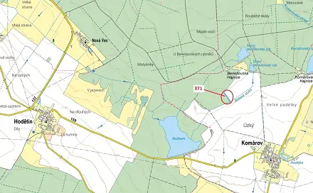 Dražba lesa 2 175 m², Komárov