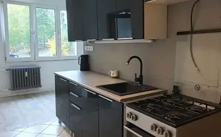 Prodej bytu 2+1 62 m², Slavíčkova, Sokolov