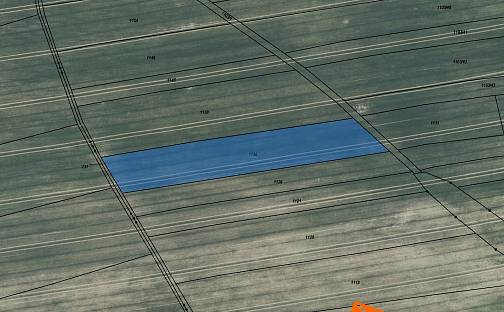 Prodej pole 632 m², Bernartice, okres Benešov