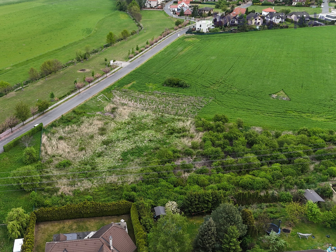 Prodej pole 4 757 m² – fotografie 4