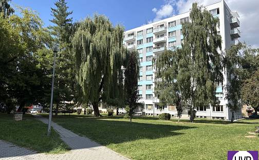 Prodej bytu 4+1 79 m², 17. listopadu, Písek - Budějovické Předměstí