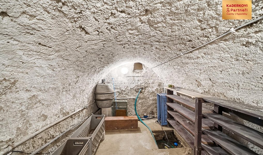 Prodej domu 117 m² s pozemkem 265 m², Skřinářov – náhled fotky 43