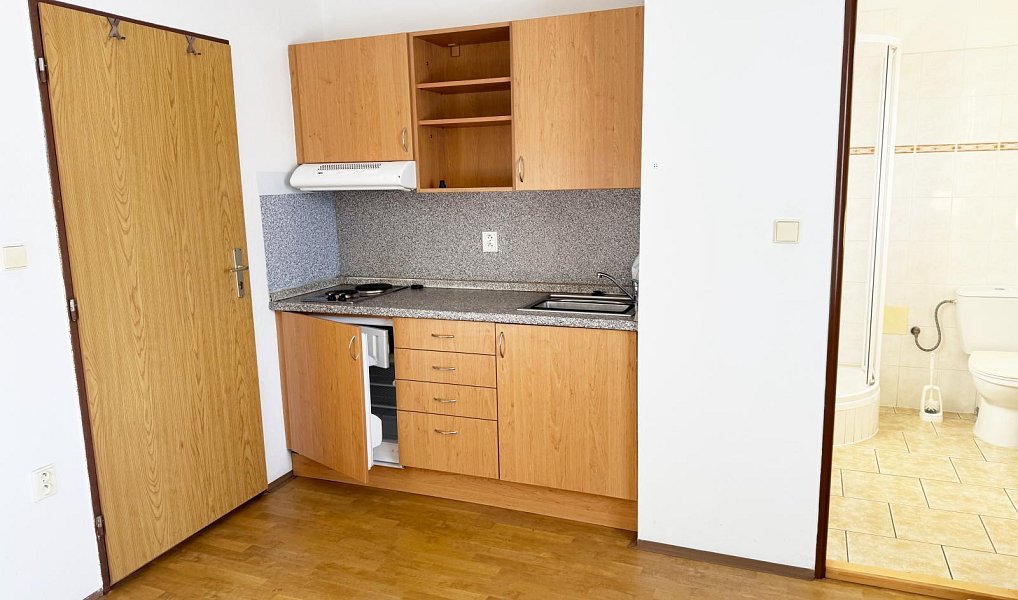 Pronájem bytu 1+kk 16 m², Velká Bíteš – náhled fotky 3