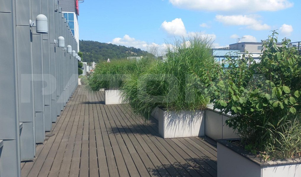Pronájem kanceláře 2 208 m², Praha – náhled fotky 7