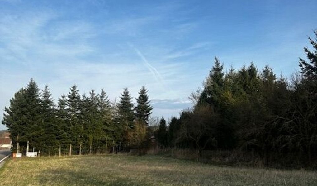 Prodej stavebního pozemku 1 159 m², Albrechtice nad Vltavou – náhled fotky 5