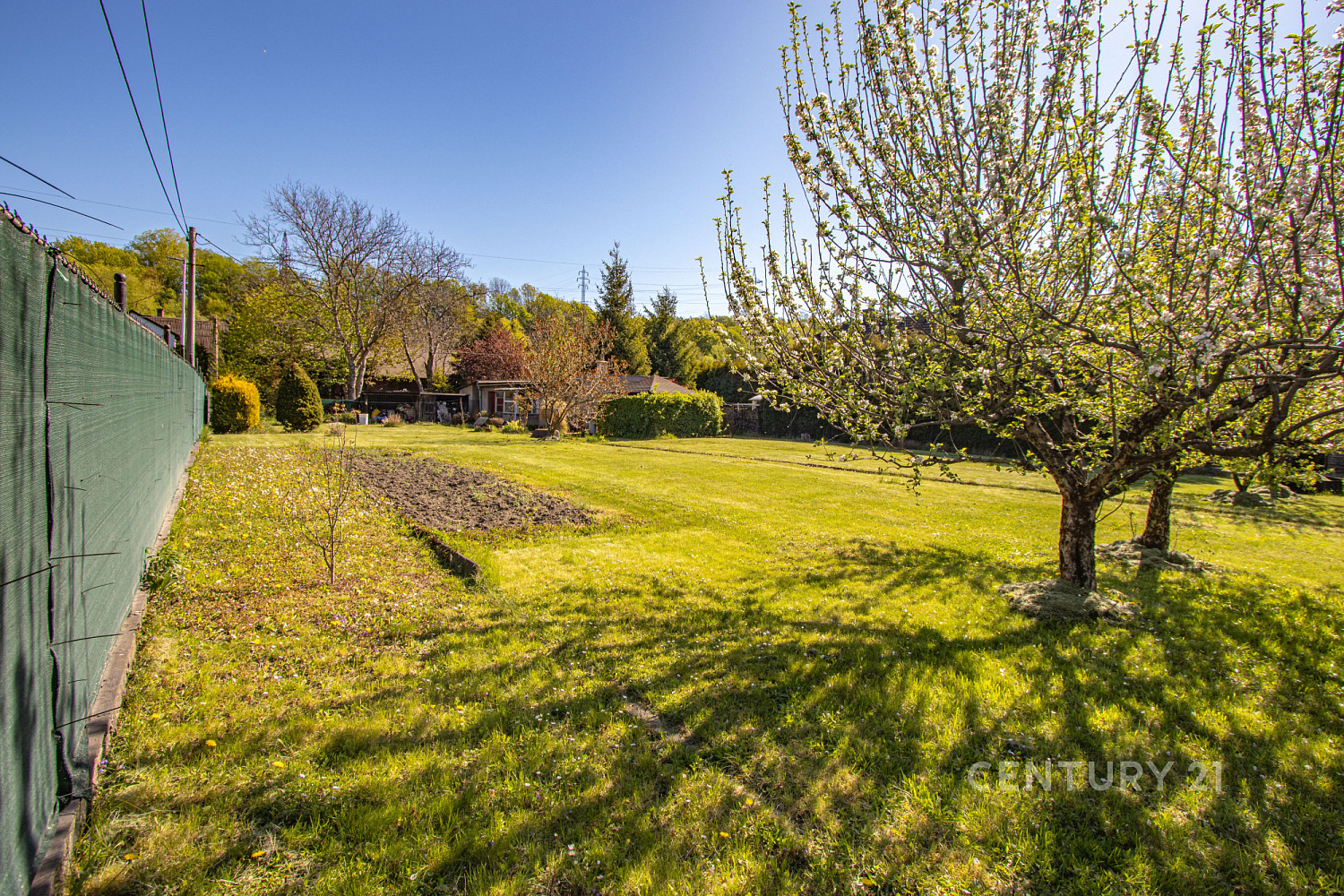 Prodej stavebního pozemku 800 m² – fotografie 4