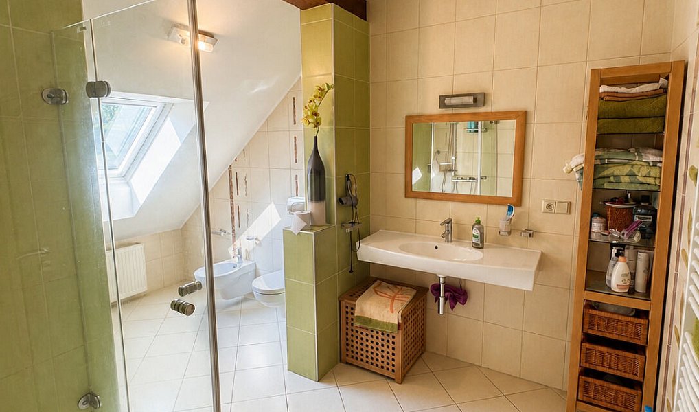 Prodej domu 420 m² s pozemkem 532 m², Jáchymov – náhled fotky 9