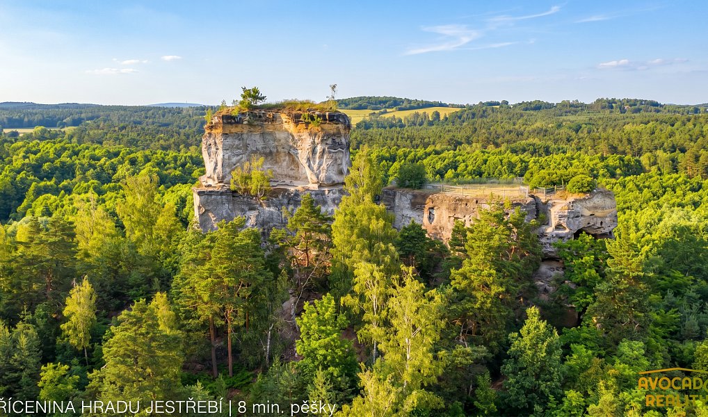 Prodej domu 500 m² s pozemkem 2 790 m², Jestřebí – náhled fotky 4