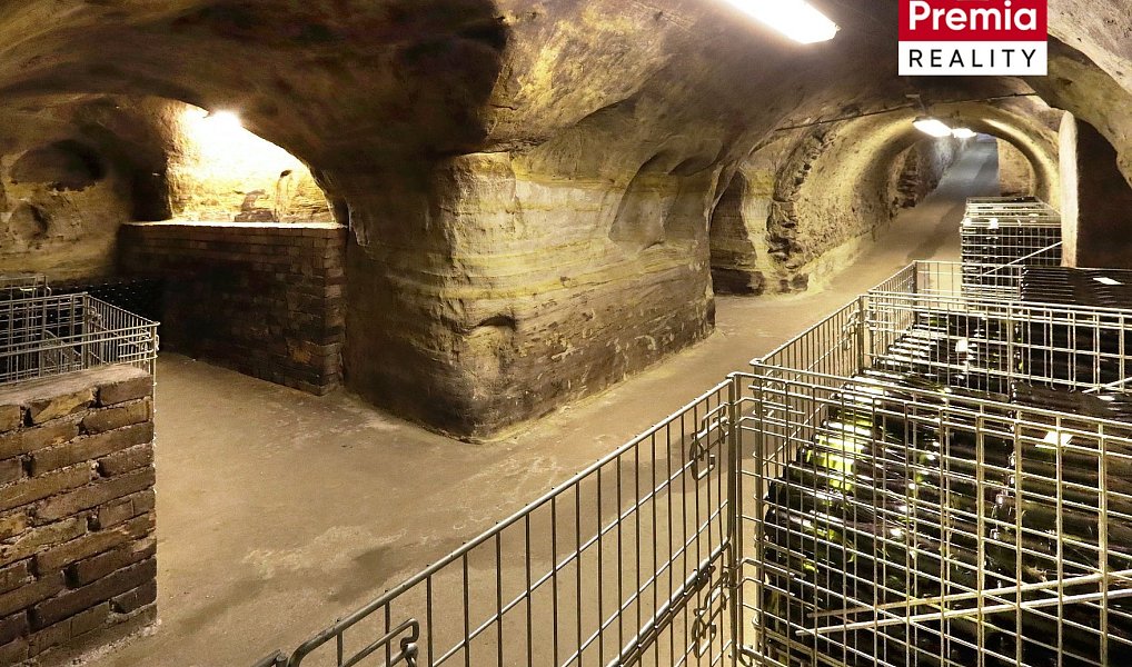 Prodej výrobních prostor 1 500 m², Nový Šaldorf-Sedlešovice – náhled fotky 17
