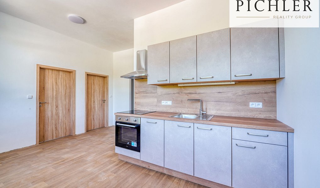 Pronájem bytu 2+kk 44 m², Horní Bříza – náhled fotky 4