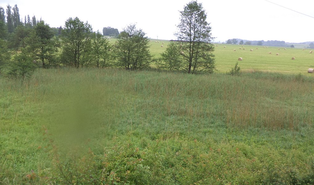 Prodej pole 4 685 m², Jablonné v Podještědí – náhled fotky 4