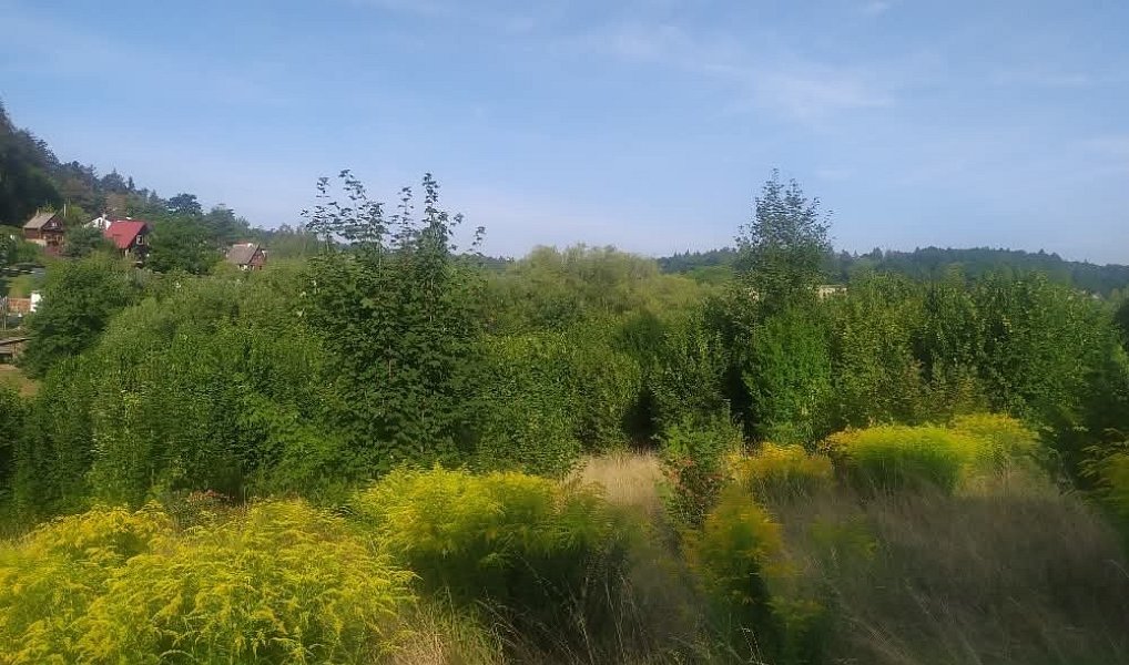 Prodej pozemku 411 m², Olomouc – náhled fotky 8