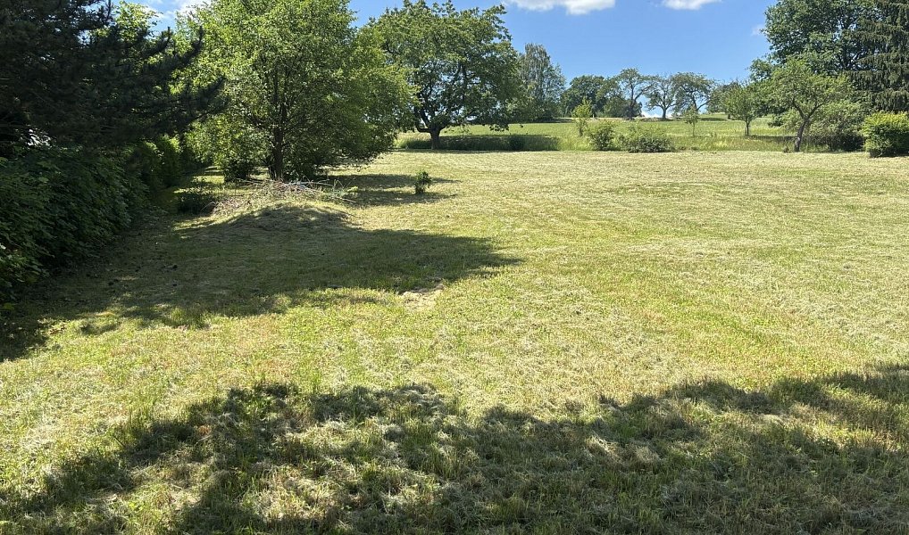 Prodej stavebního pozemku 2 226 m², Boňkov – náhled fotky 5