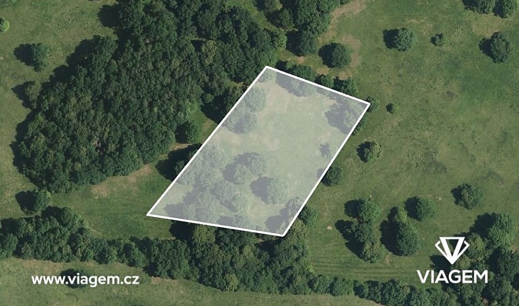Prodej pole 5 305 m², Kněždub – náhled fotky 2