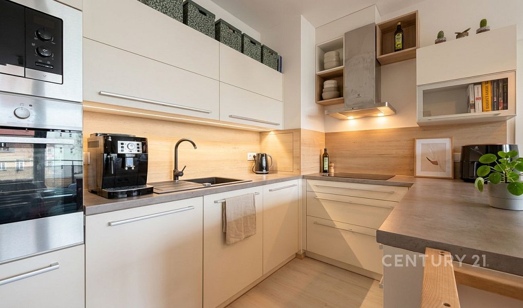 Prodej bytu 3+kk 107 m², Brno – náhled fotky 3