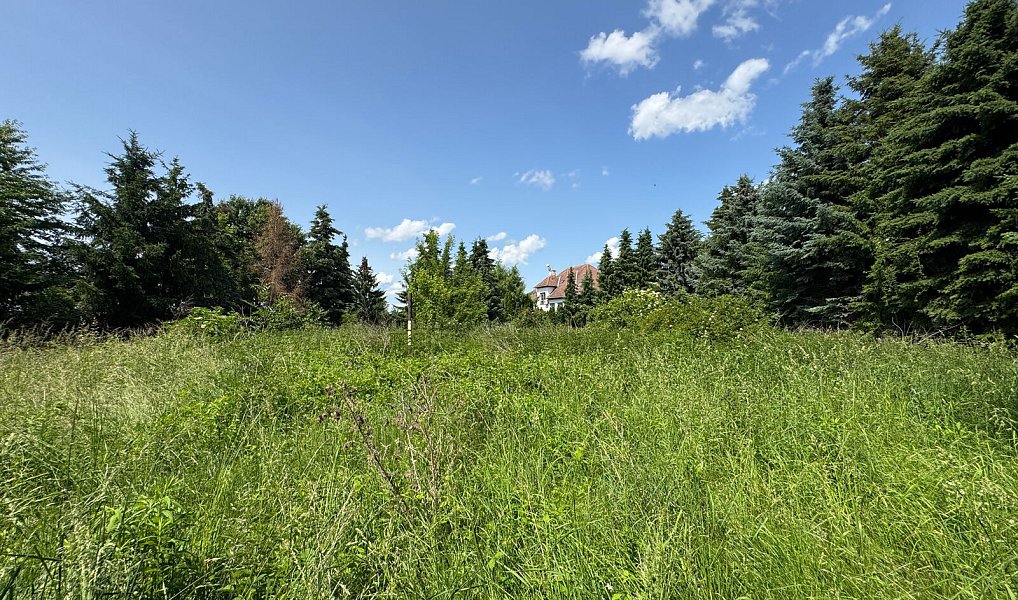 Prodej komerčního pozemku 4 428 m², Kunovice – náhled fotky 18