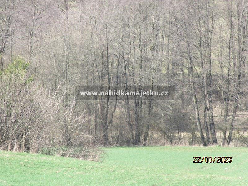 Prodej vodní plochy 230 m² — photo 2