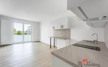 Pronájem bytu 1+kk 32 m², Třída Jiřího Pelikána, Olomouc - Nová Ulice