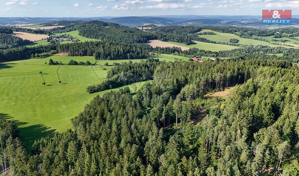 Prodej lesa 15 707 m², Petrovice u Sušice – náhled fotky 21