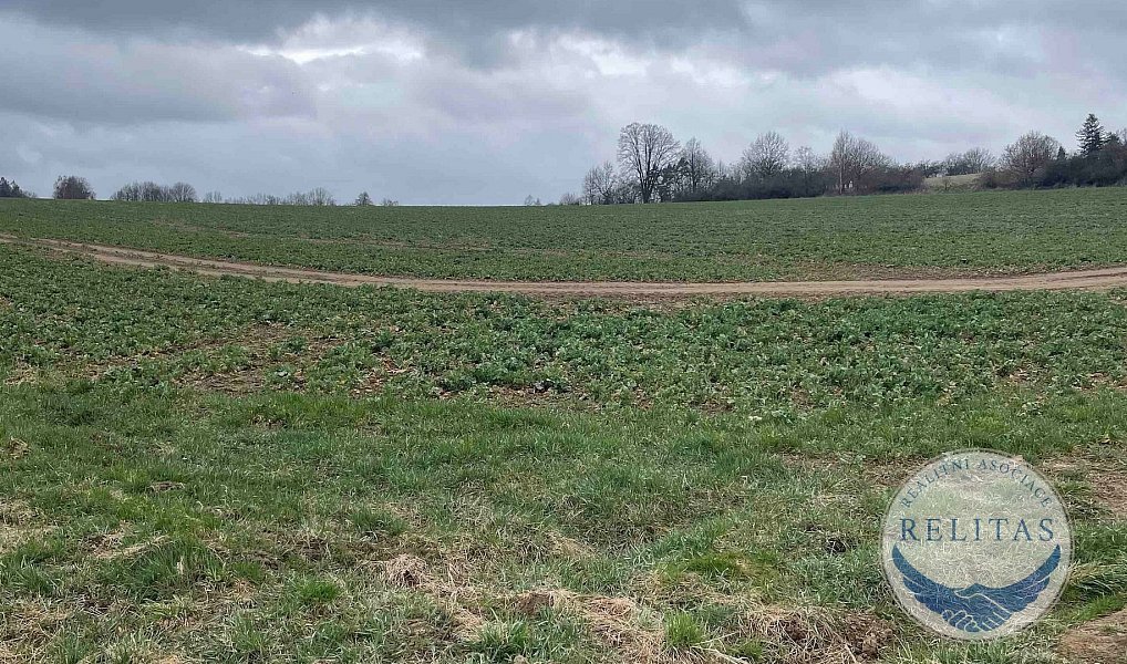 Prodej stavebního pozemku 1 300 m², Rynárec – náhled fotky 5