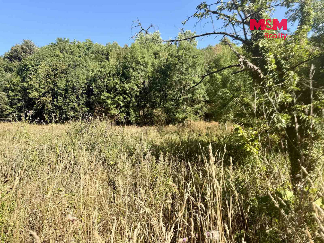 Prodej stavebního pozemku 5 378 m² – fotografie 4