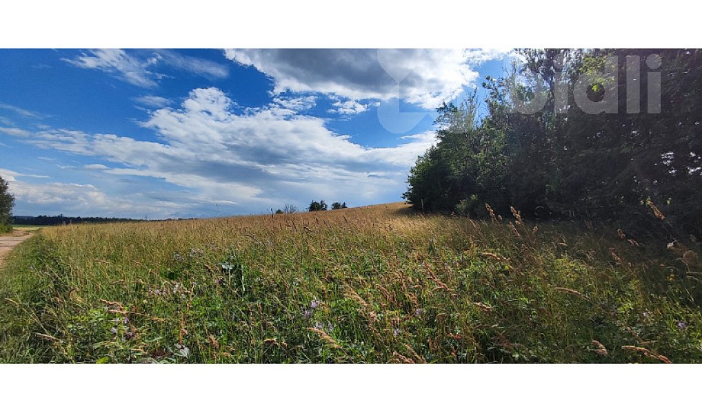 Prodej stavebního pozemku 1 437 m², Dolní Lánov – náhled fotky 7