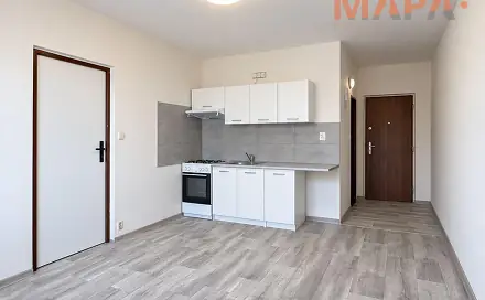 Pronájem bytu 1+1 35 m², Dřínovská, Chomutov