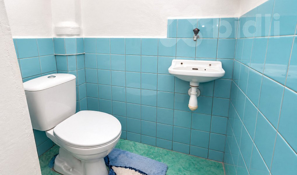 Prodej domu 177 m² s pozemkem 2 250 m², Bílovice nad Svitavou – náhled fotky 12