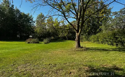 Prodej stavebního pozemku 3 702 m², Rynoltice, okres Liberec