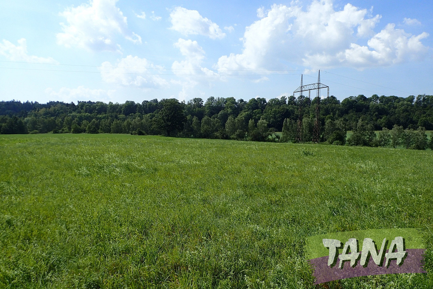 Prodej louky 49 051 m² – pohled 4