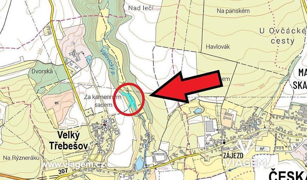 Prodej lesa 586 m², Velký Třebešov – náhled fotky 3